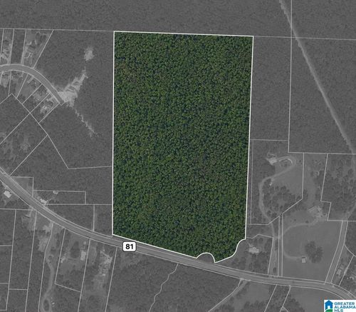 0-0 Highway 81, VINCENT, AL, 35178 | Card Image
