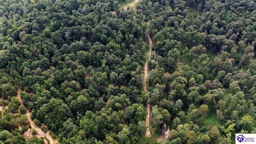 Tract 3 Cook Lane, Cromwell, KY, 42333 | Card Image