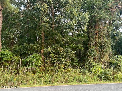 4595 Mercer Mill Brown Marsh Rd, Clarkton, NC, 28433-8739 | Card Image