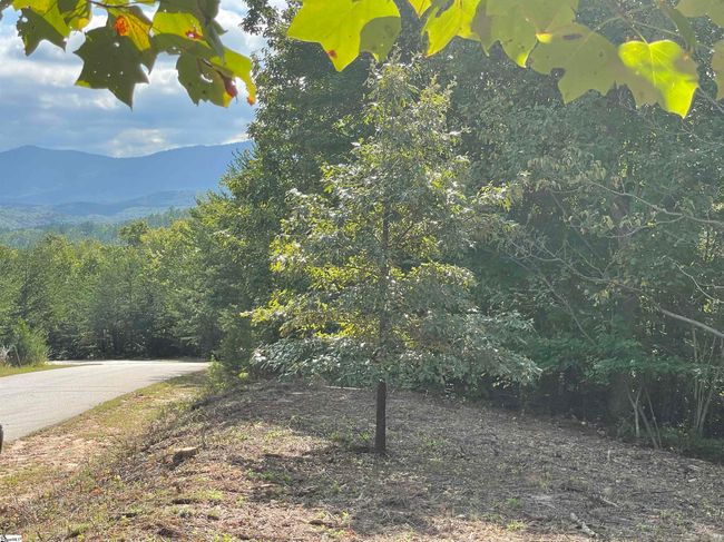 00 Birkdale Dr, House other with 4 bedrooms, 5 bathrooms and 2 parking in Mill Spring NC | Image 9
