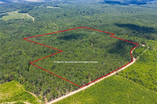 1 County Road 55, Camp Hill, AL, 36850 | Card Image