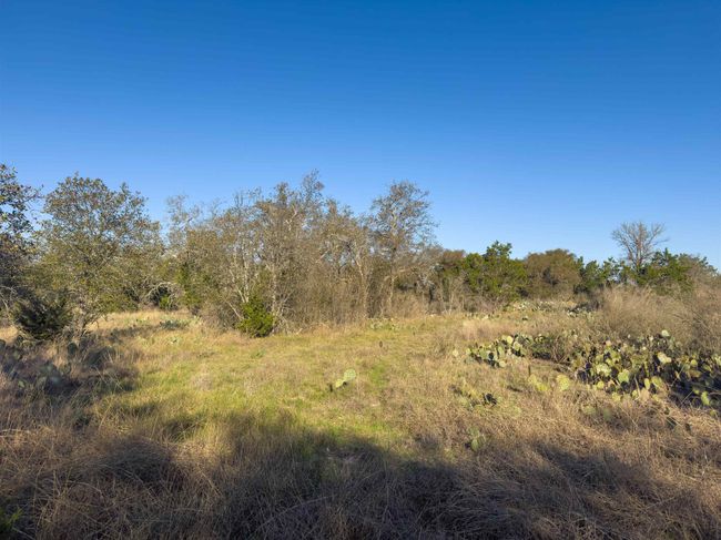 Lot 196 Marble Falls Ct, Home with 0 bedrooms, 0 bathrooms and null parking in Spicewood TX | Image 8