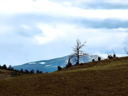 384 Cathy Dr, HARTSEL, CO, 80449 | Card Image