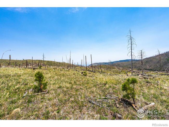 2384 Rist Creek Rd, Home with 0 bedrooms, 0 bathrooms and null parking in Bellvue CO | Image 19