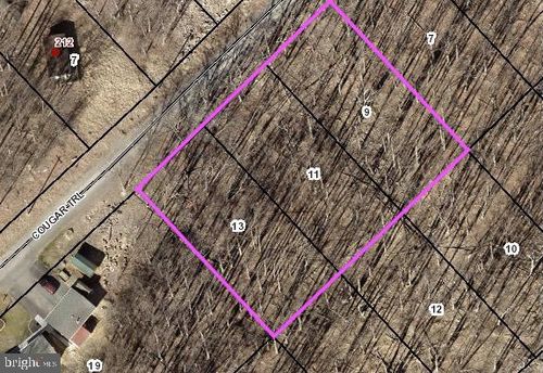 Lot 9, 11, 13 Cougar Trail, WINCHESTER, VA, 22602 | Card Image