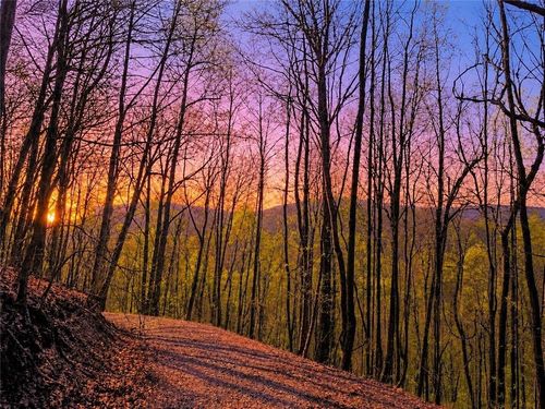 29 AC Hidden Valley Drive, Ellijay, GA, 30536 | Card Image
