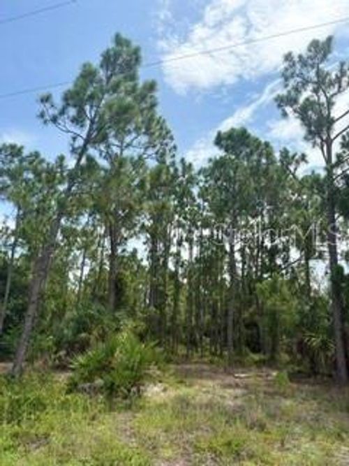 13214 Sulky Drive, Punta Gorda, FL, 33955 | Card Image