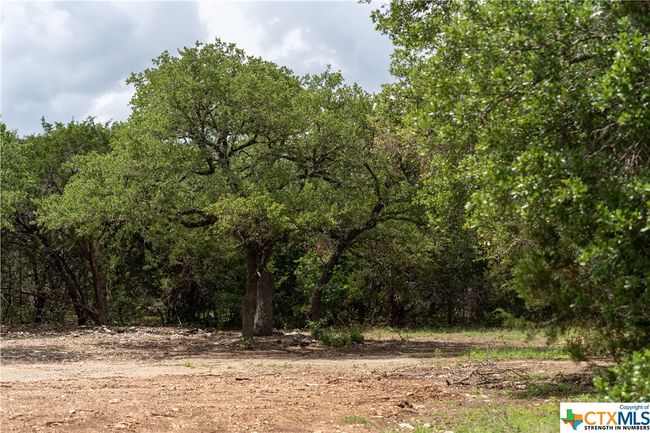 12283 Crows Ranch Rd, Home with 0 bedrooms, 0 bathrooms and null parking in Salado TX | Image 8