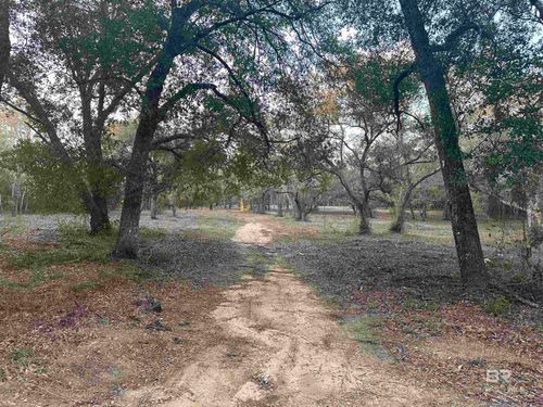 00 County Road 99, Lillian, AL, 36549 | Card Image