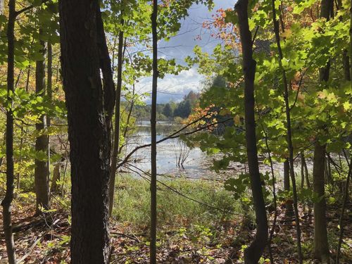 20047 Davis Lake Rd, Traverse City, MI, 49684 | Card Image