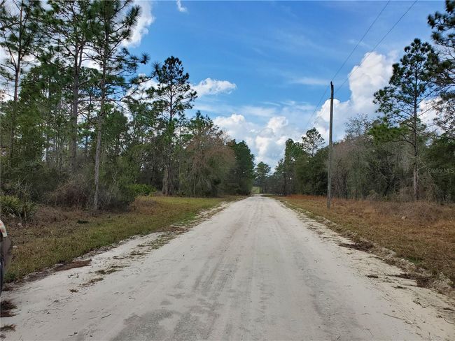 00 Ne 14th Street E, Home with 0 bedrooms, 0 bathrooms and null parking in Williston FL | Image 10