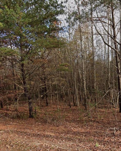 420 Sandusky Rd, Phil Campbell, AL, 35581 | Card Image