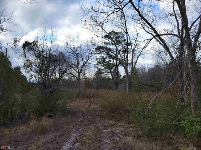 2757 Us Highway 1 N, Home with 0 bedrooms, 0 bathrooms and null parking in swainsboro GA | Image 4