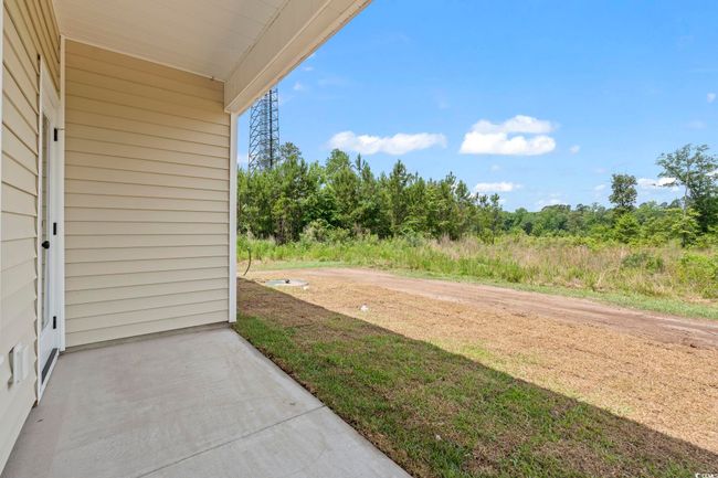 View of yard | Image 22