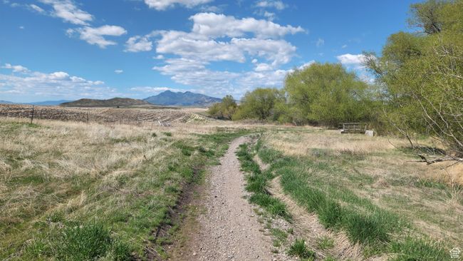 View from the community trail | Image 36