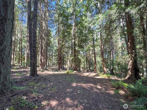 9999 N Bagley Creek Rd, Port Angeles, WA, 98362 | Card Image