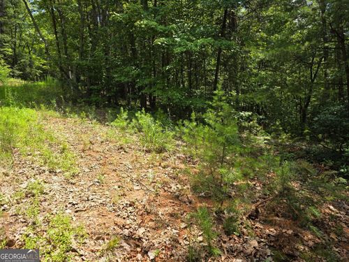 LOT 14 & 6 Bean Creek Rd, Sautee Nacoochee, GA, 30571 | Card Image