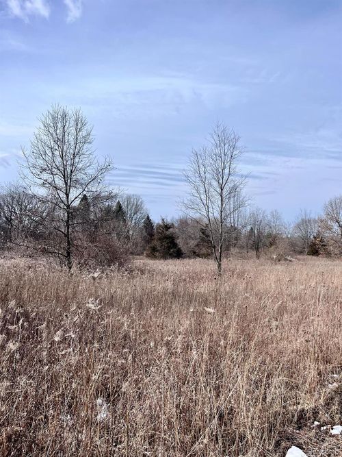 Parcel 1 Coon Lake Rd, Genoa Township, MI, 48843 | Card Image