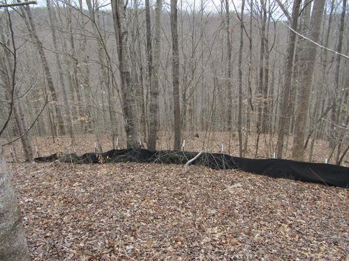 Lot 60 W Bobcat Ln, Wilder, TN, 38589 | Card Image