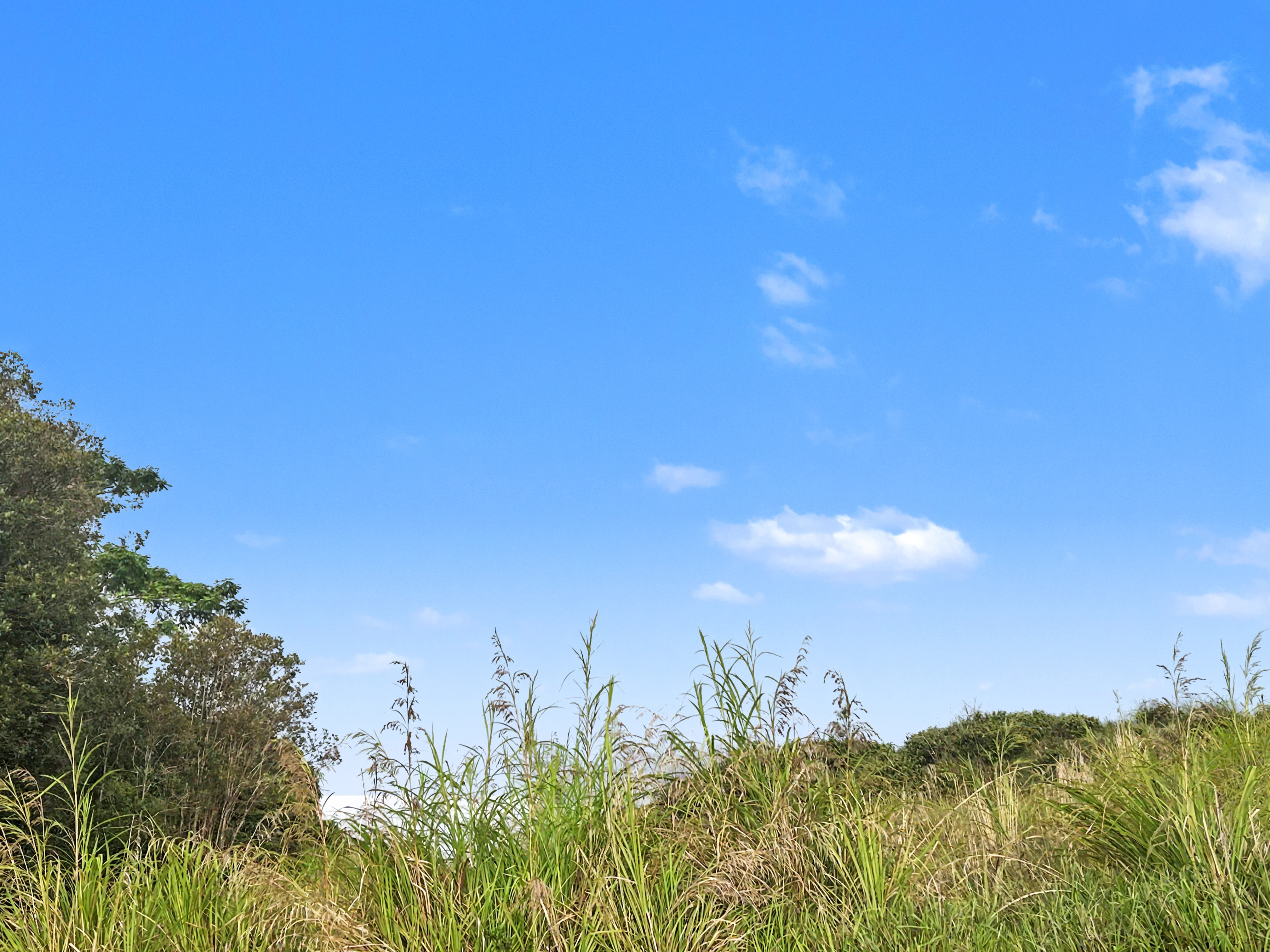 Land in Kurtistown 4