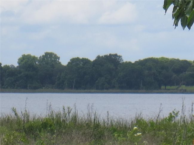 Ocala National Forest Activity | Image 76