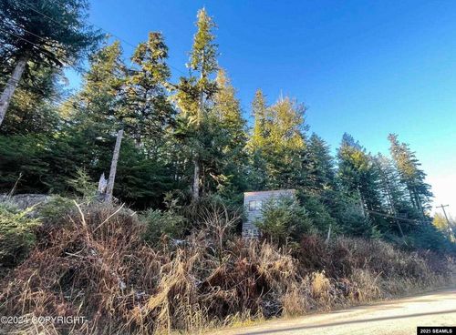 L9 B5 Beach Road, Whale Pass, AK, 99950 | Card Image