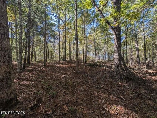239 Sewell Dr, Home with 0 bedrooms, 0 bathrooms and null parking in Allardt TN | Image 11