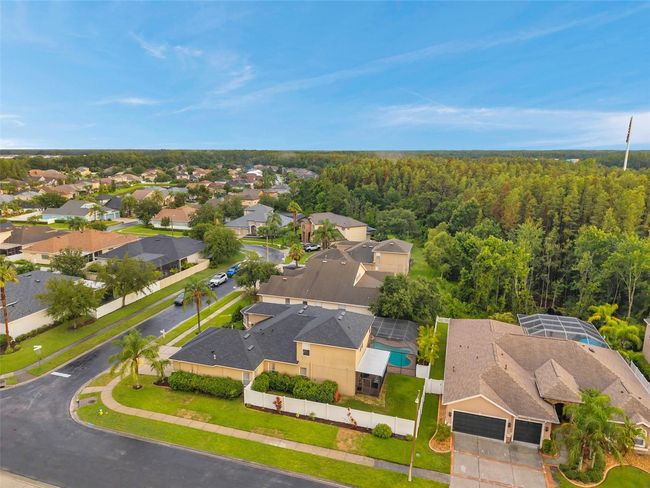 31646 Baymont Loop, House other with 5 bedrooms, 4 bathrooms and null parking in WESLEY CHAPEL FL | Image 81