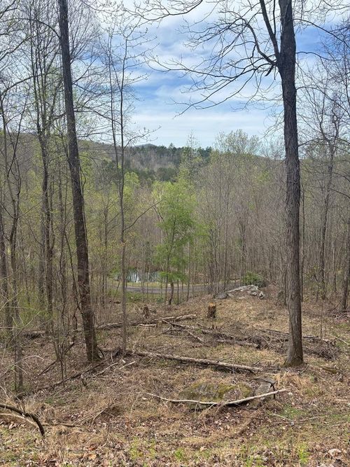 Lot 4 Buck Ridge Dr, Murphy, NC, 28906 | Card Image