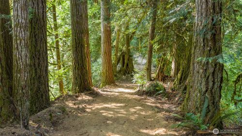 0 N Robinson Rd, Lilliwaup, WA, 98555 | Card Image