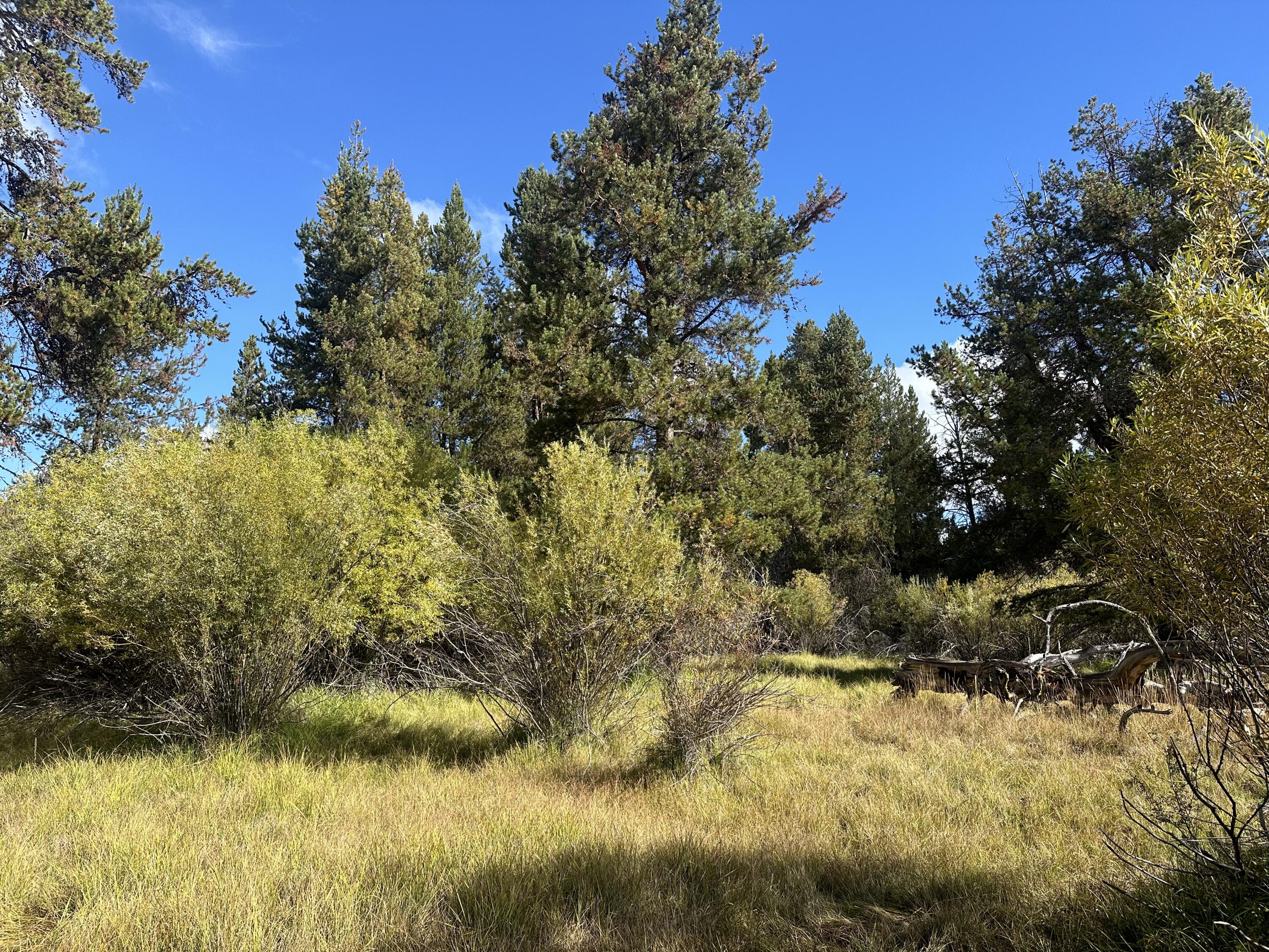 Land in La Pine 5