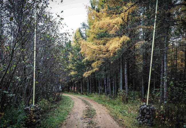 7839 Stromberg Rd, House other with 3 bedrooms, 1 bathrooms and null parking in Embarrass MN | Image 12