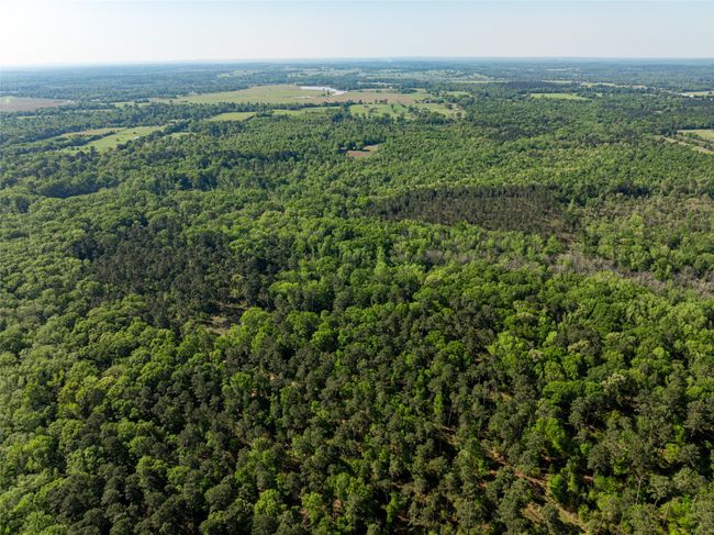 1 County Rd, Home with 0 bedrooms, 0 bathrooms and null parking in Leesburg TX | Image 30