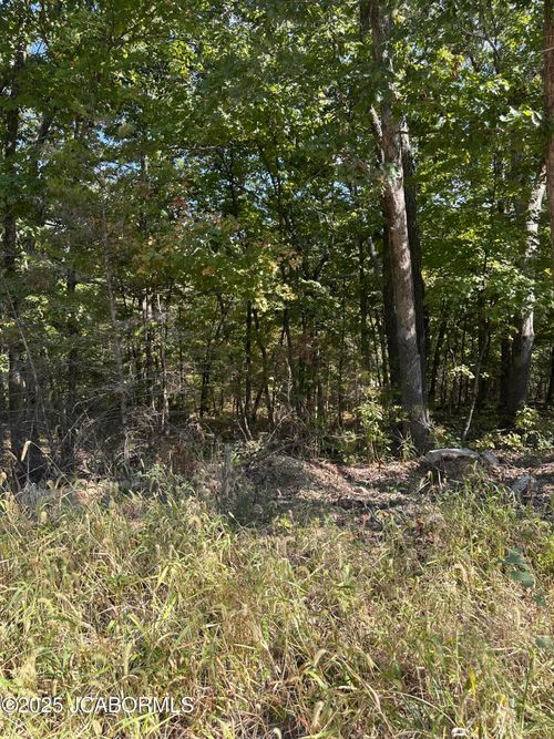 LOT 29 Sterling Ridge Dr, Holts Summit, MO, 65043 | Card Image