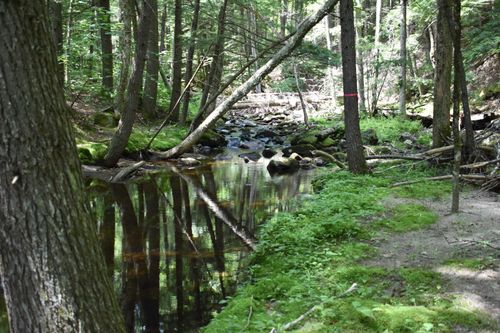 257 Rowentown Rd, Wentworth, NH, 03282-3510 | Card Image