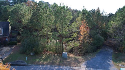 4328-4328 Ridgemont Cir, BIRMINGHAM, AL, 35244-1253 | Card Image