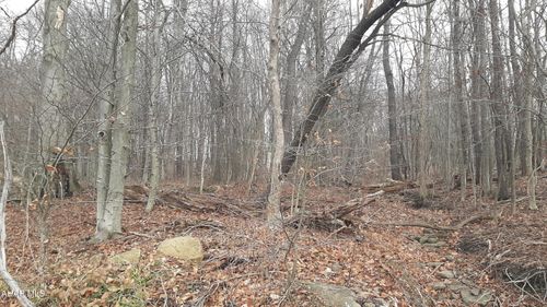 000 North St, Lilly, PA, 15938 | Card Image