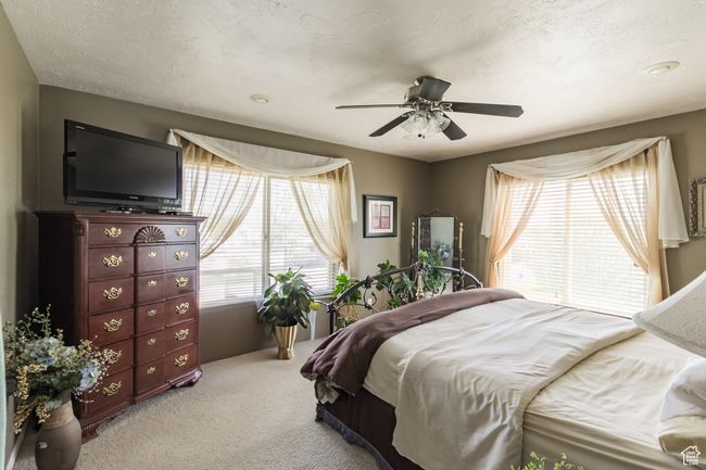 Carpeted bedroom featuring ceiling fan and multiple windows | Image 24