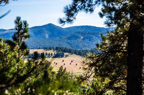 Lot 23 Three Peaks Pass, Whitewood, SD, 57793 | Card Image