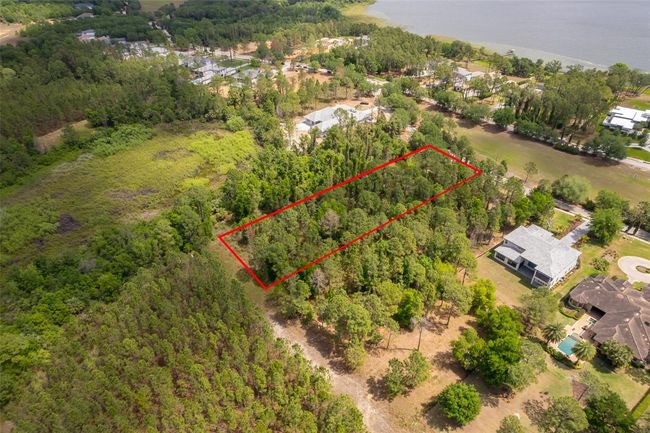 15902 Pendio Dr, Home with 0 bedrooms, 0 bathrooms and null parking in BELLA COLLINA FL | Image 8