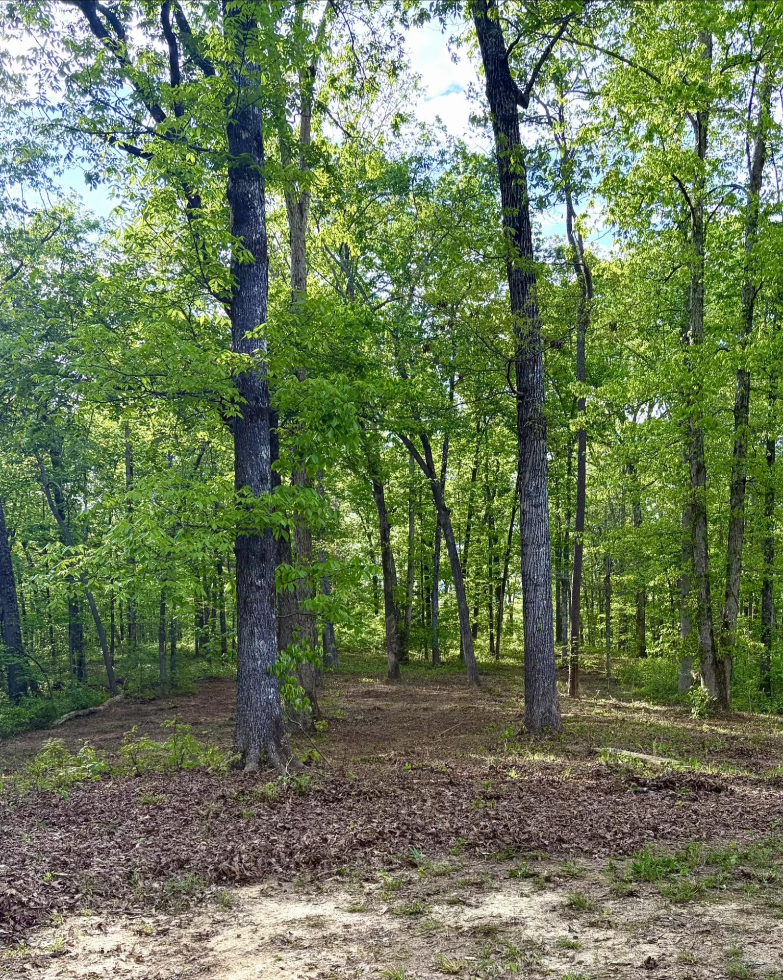 Residential in Birchwood 4