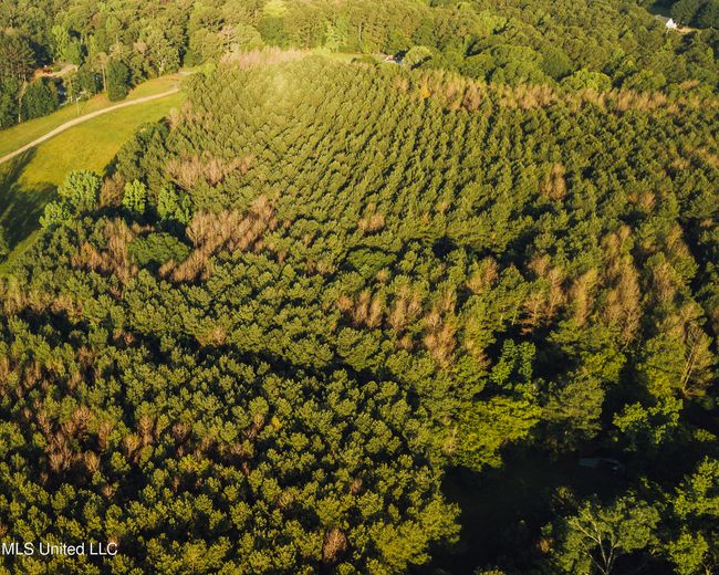 JG Puckett Cabin Drone-9 | Image 11
