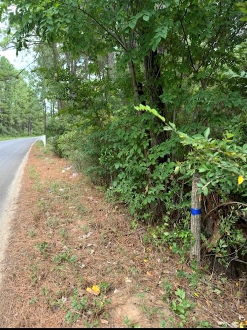 0 Pinebrook Dr, Plantersville, TX, 77363 | Card Image