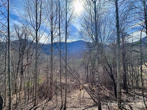 40 Shook Cove Rd, Leicester, NC, 28748-9202 | Card Image