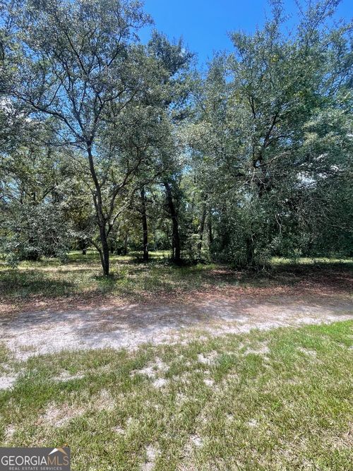 LOT 1A-13 Coopers Point Dr Ne, Townsend, GA, 31331 | Card Image