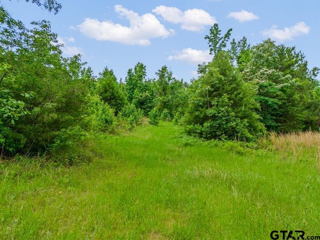 3536 &amp; TBD Cr 1579, Home with 4 bedrooms, 3 bathrooms and null parking in Avinger TX | Image 14