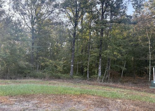 00 Friendship Circle, Forest, MS, 39074 | Card Image