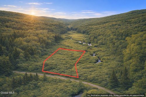 L46 Alderbrook Rd, Brant Lake, NY, 12815 | Card Image