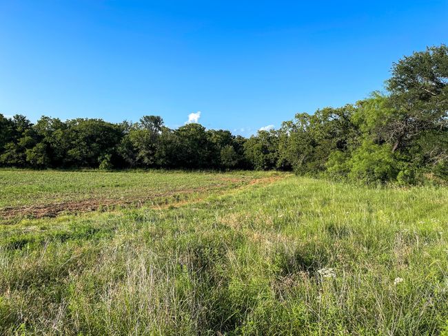 View of woods with a view of countryside | Image 23