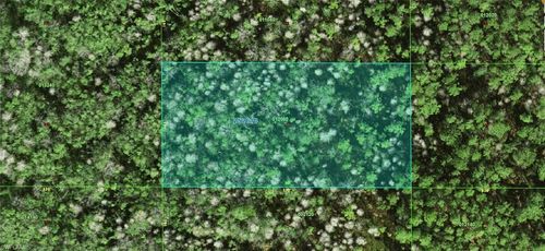 25 Commonwealth Ave N, POLK CITY, FL, 33868 | Card Image